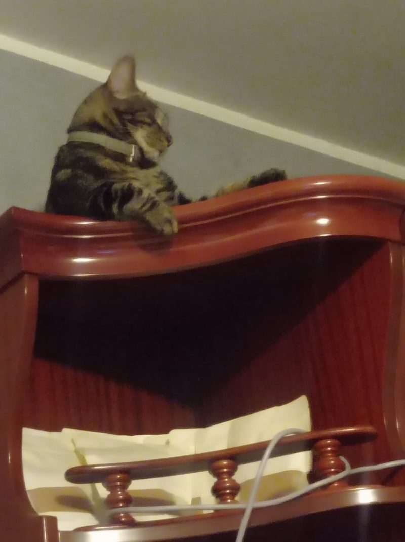 Kit Zero Waste Cucina 12pz