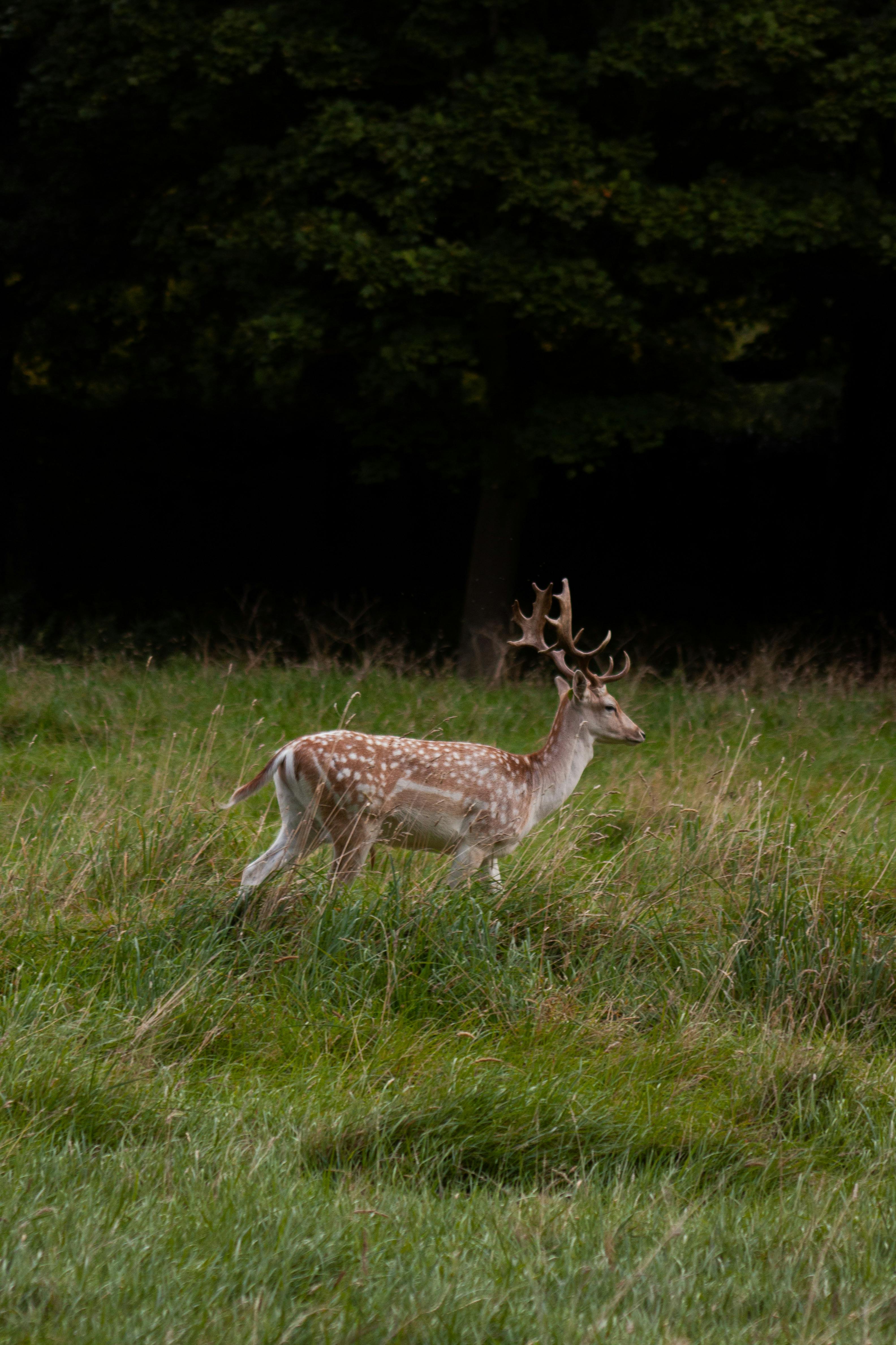 test spedizione  - Immagine 2